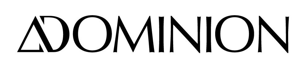 Dominion Capital Strategies logo